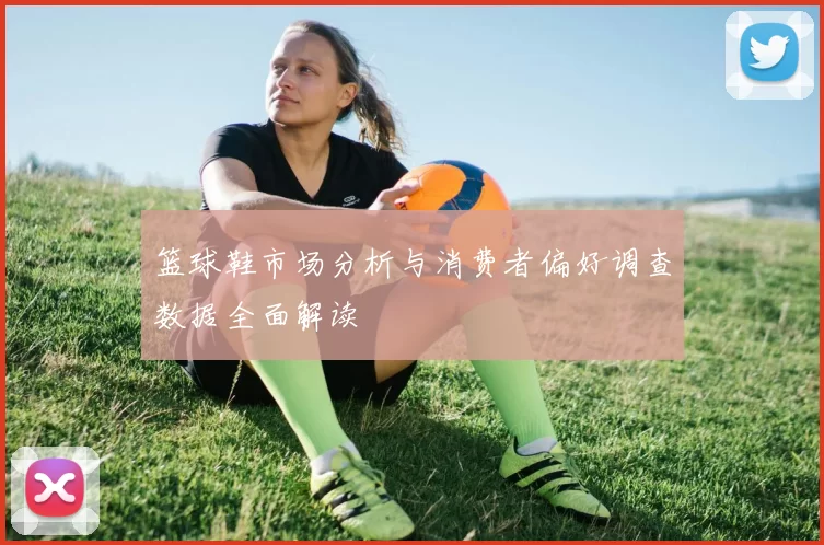 篮球鞋市场分析与消费者偏好调查数据全面解读