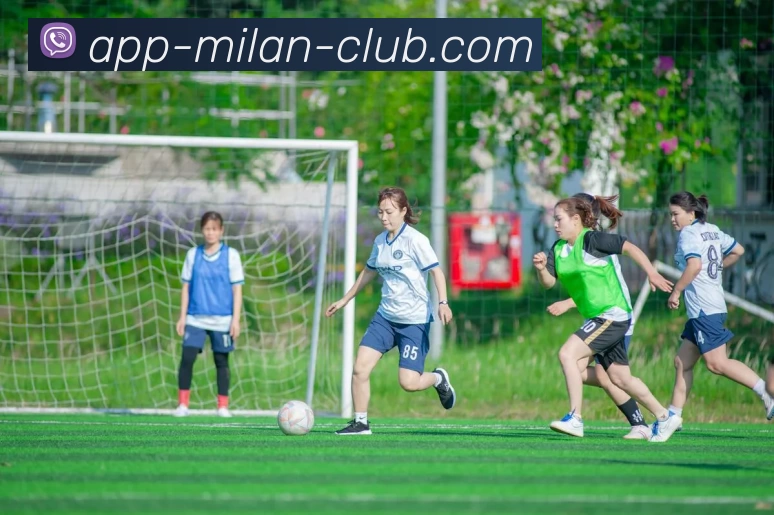 米兰体育品牌故事